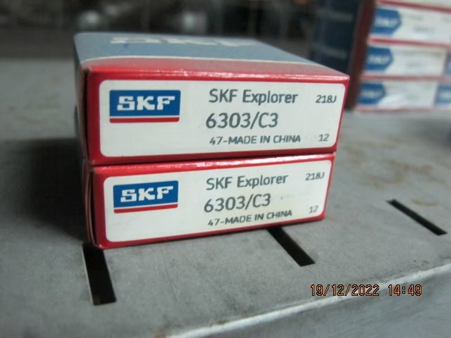 SKF Photo 108